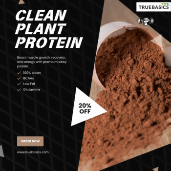 Clean plant protein powder made from plant-based ingredients for muscle recovery and daily protein nutrition