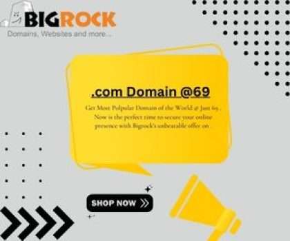 Bigrock .com Domain @69