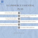 Bluehost-Save33% on ecommerce essentials at ₹1336.66/month