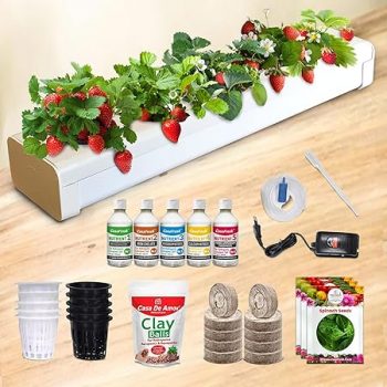 City Greens Hydroponic Kit for Home Garden