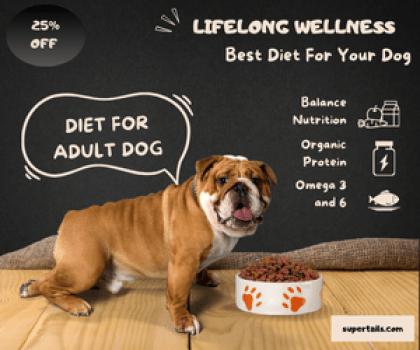 Diet for lifelong wellness for dog