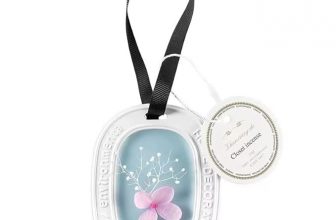 Premium Hanging Wax Fragrance Diffuser