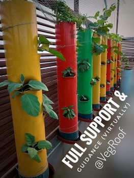 Veg Roof Regular Vegetable Tower, Soil Based Vertical planters