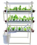 Pindfresh Hydroponic Kit 27% off coupon code & updated discount list on amazon