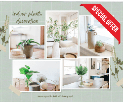 Nurturing Green-Up To Rs.249 OFF Decor Gifting - Save Up To Rs 249 OFF