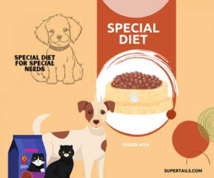 Special diet for special needs