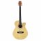 Vault EA20 Guitar and Its Features