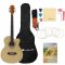 Vault EA20 Guitar and Its Features