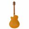 Vault EA20 Guitar and Its Features