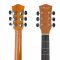 Vault EA20 Guitar and Its Features