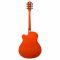 Kadence Frontier Guitar and Its Features