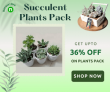 Nurserylive- Get Upto 36% OFF On Top 3 succulent plants Pack