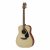 Yamaha F280 Guitar and Its Features