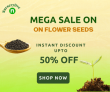 Nurserylive- Instant Discount Upto 50% OFF On Flower Seeds