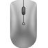 Lenovo 300 Wireless Compact Mouse