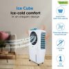 Symphony Ice Cube 27 Personal Air Cooler
