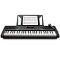 Alesis Harmony 54 54-key Portable Arranger Keyboard