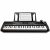 Alesis Harmony 54 54-key Portable Arranger Keyboard
