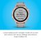 Garmin Fenix 6S Sapphire, Premium Multisport GPS Watch