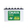 OKAYA PowerUP OPLT19036 160Ah Long Tubular Inverter