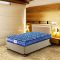 Peps Spring Koil Bonnell Spring Mattress