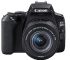 Canon EOS 200D II 24.1MP Digital SLR Camera  (Black)