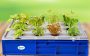 Green Live Hydroponic 12 Plant System