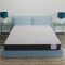 Livpure Smart Ortho Plus Mattress