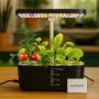 ecofynd Clyra 8 Pods Indoor Garden