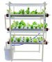 Hydroponic Kit for Home or Office