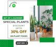 Nurserylive- Save 12% OFF On Set of 4 Summer Special Plants