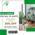 Nurserylive- Get Upto 36% OFF On Top 3 succulent plants Pack