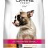 Canine Creek Adult Dry Upto 12 % OFF Coupon Code & Updated Discount List On Amazon