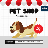 ZigLy – Avail Up To 50% OFF On Cat & Dog Clothing Accessories