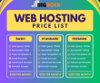 BigRock Big Hosting Sale – Get Up to 75% OFF | Republic Sale 2025