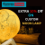 CanvasChamp: Extra 10% Off on Custom Moon Lamps
