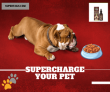 Supertails-Supercharge your pet with supplement upto23%OFF