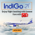 IndiGo flights offer festive discounts—book tickets now!