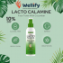 Wellify coupon code- Unlock free shipping 10% off on 2+items!