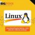 Upto 75% Off On Linux Hosting Starter Plan, Pro, Advanced & Ultimate Plan
