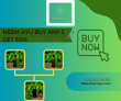 Neem Ayu Buy Any 3 Get 50%