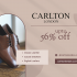 🔥 Carlton London offer Steal the Sun sunglasses at 60% OFF!🕶️