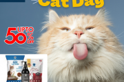 ZigLy – Zigly Offer: Save Up to 50% on Cat Litters & Accessories