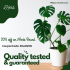 iHerb Offer – 40% Off on Wellness Resolution