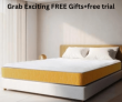 Special Festive Offer – Grab Exciting FREE Gifts +FREE Trials