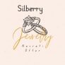 Silberry Navratri get 10% off on All Orders