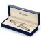 Waterman Expert Fountain Pen