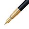 Waterman Perspective Fountain Pen