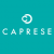 caprese bag Coupons deals & Offers