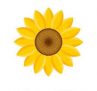 SUNFLOWER -Flat 15% Off